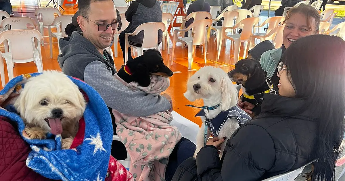 Caravana da Castração ultrapassa mil atendimentos; Corumbá e Ladário recebem o programa em Agosto