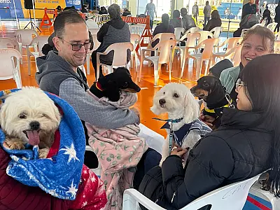 Caravana da Castração ultrapassa mil atendimentos; Corumbá e Ladário recebem o programa em Agosto