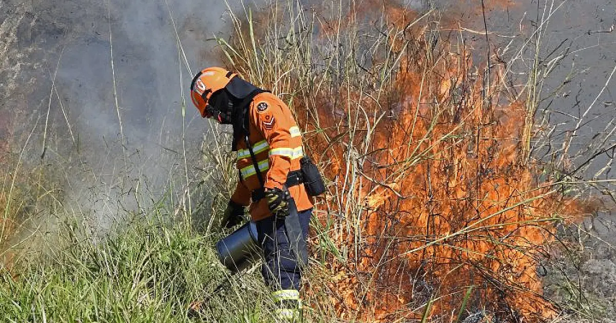 Restrição para queima controlada em MS será mais rígida no Pantanal