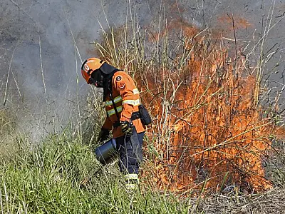 Restrição para queima controlada em MS será mais rígida no Pantanal