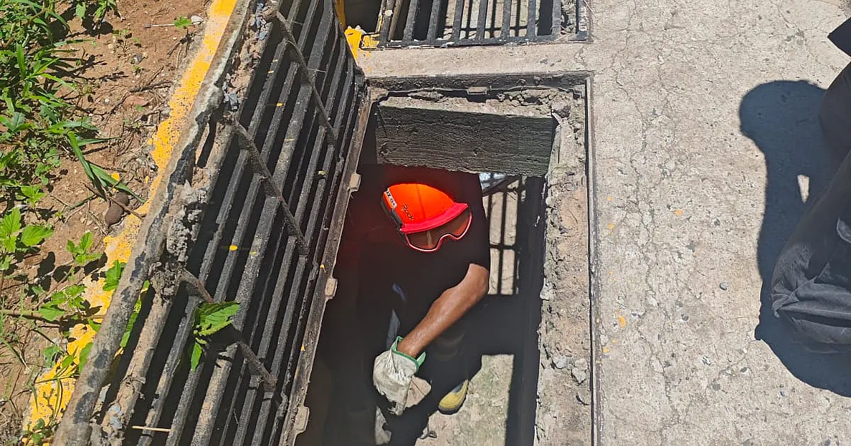 Filhotes de gato são resgatados em bueiro no Jardim dos Estados