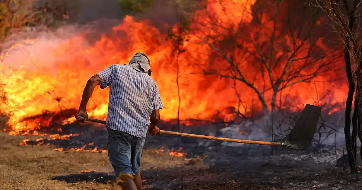 Ano de 2024 registrou aumento de 79% de áreas queimadas no Brasil