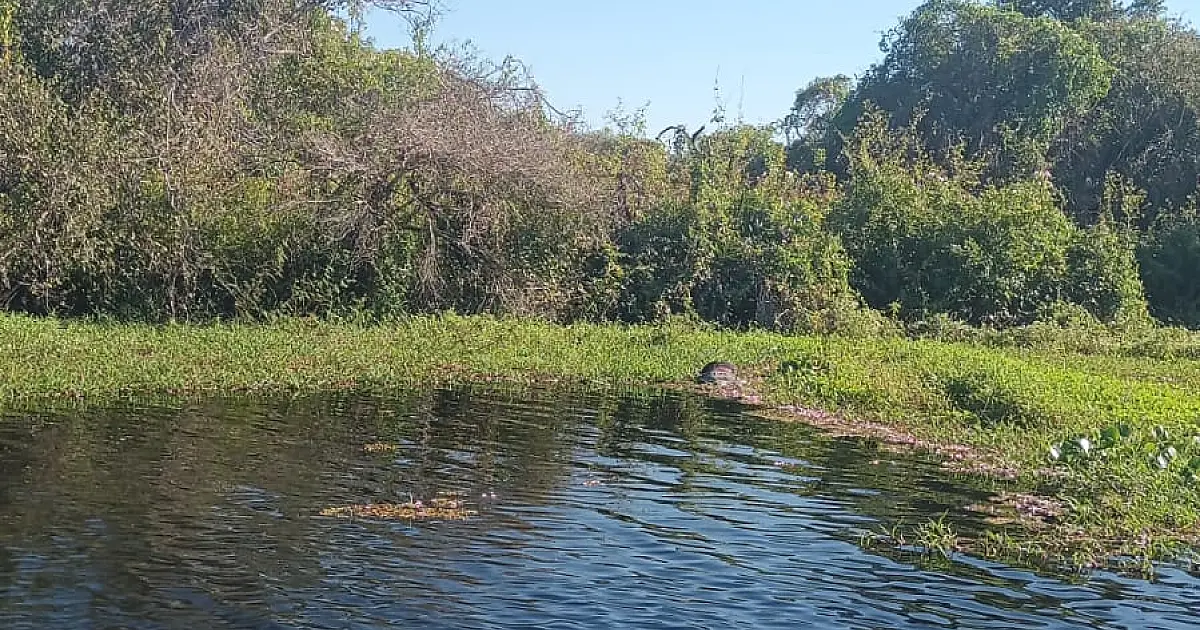 Corpo é encontrado em rio na região do Paraguai Mirim