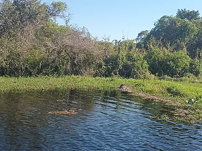 Corpo é encontrado em rio na região do Paraguai Mirim