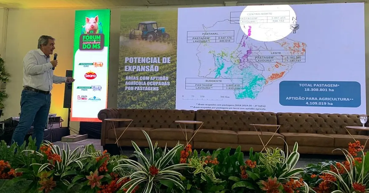 Com quase 300 granjas, suinocultura impulsiona economia de MS