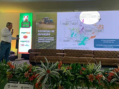 Com quase 300 granjas, suinocultura impulsiona economia de MS