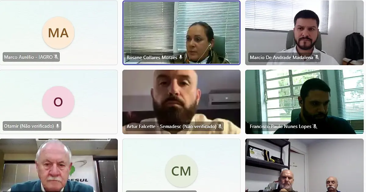 Estados integrantes da Codesul discutem articulação conjunta para prevenção da gripe aviária