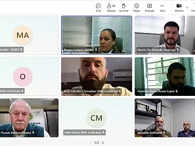 Estados integrantes da Codesul discutem articulação conjunta para prevenção da gripe aviária