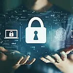 Contratos digitais e serviço público