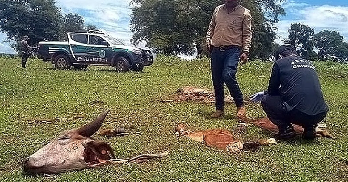 Governo cria delegacia de combate a crimes rurais e abigeato