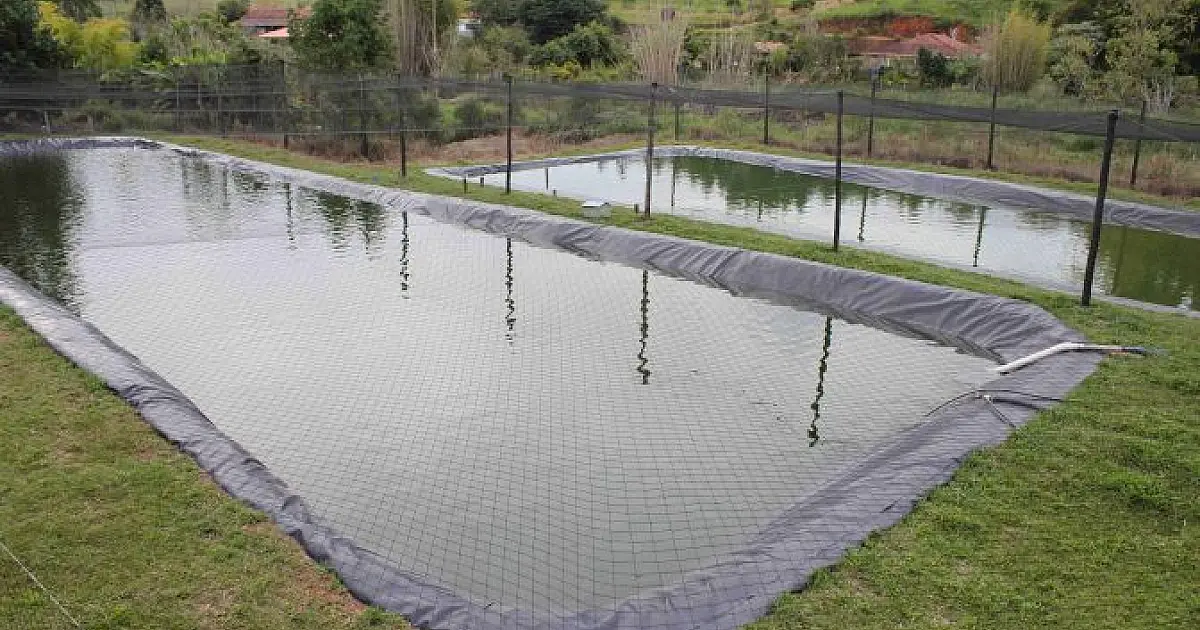 Imasul isenta de licença ambiental projetos de piscicultura de até cinco hectares