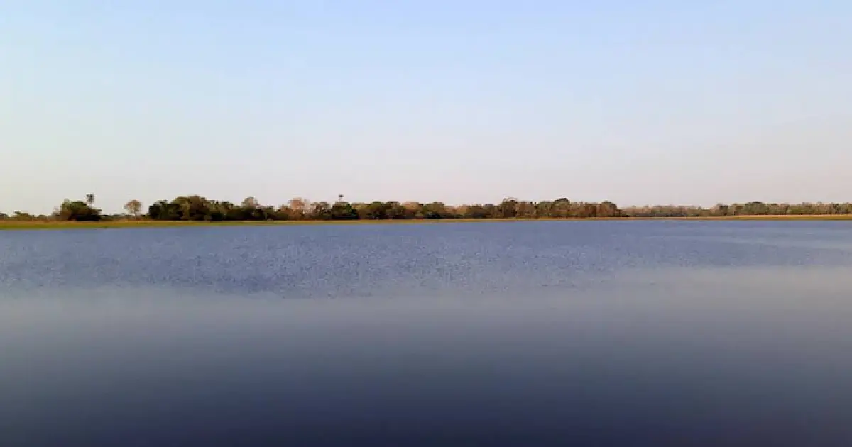 Homem que ateou fogo em mulher na Nhecolândia segue sendo procurado