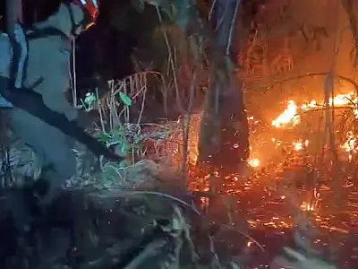 Corumbá registra cinco incêndios em vegetações nas últimas 24 horas