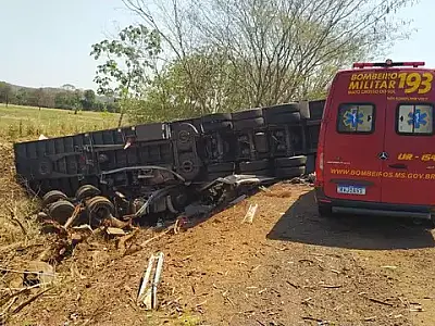 Caminhoneiro morre após carreta tombar na BR-262