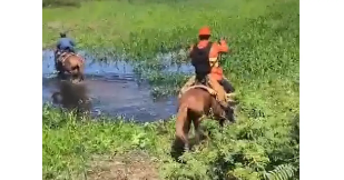 Incêndio no Pantanal é controlado e bombeiros seguem em alerta