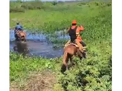 Incêndio no Pantanal é controlado e bombeiros seguem em alerta