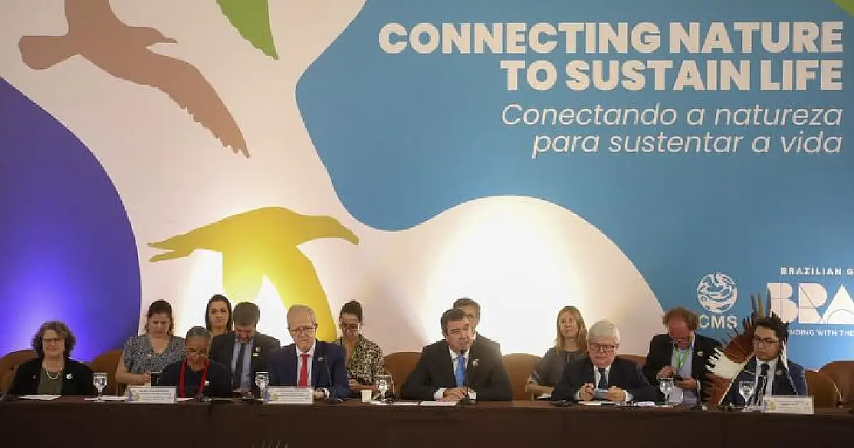 MS sedia cúpula global da COP15 para proteger espécies migratórias e o Pantanal