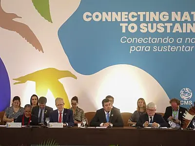 MS sedia cúpula global da COP15 para proteger espécies migratórias e o Pantanal