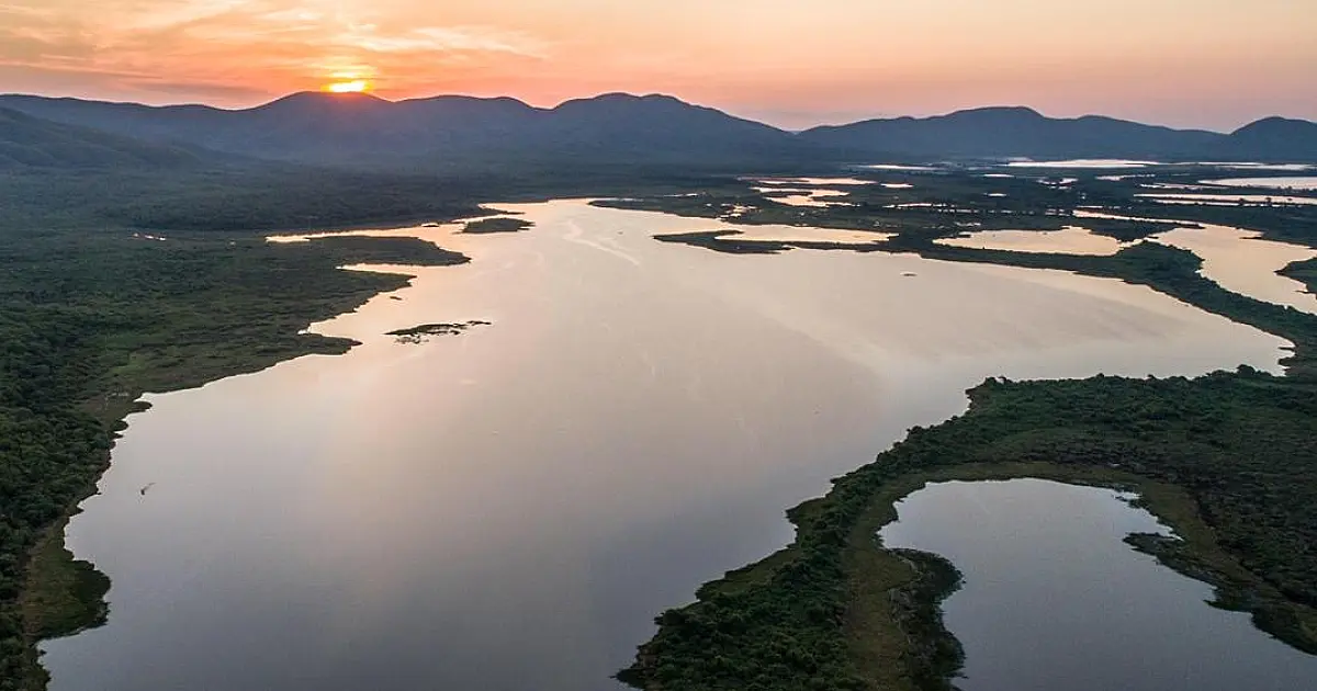 Chuva alivia pressão e mantém Pantanal sem focos de incêndio