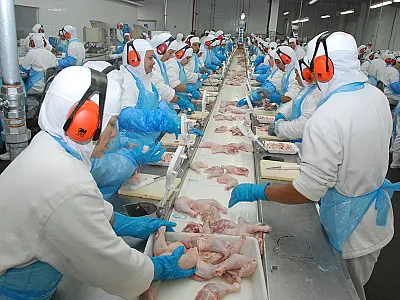 Produção industrial de MS se mantém estável ou em crescimento no mês de junho