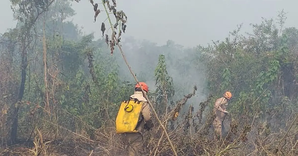 Bombeiros continuam combate aos incêndios florestais próximos a Ladário