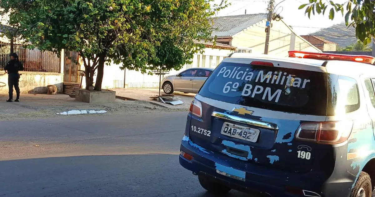 Donos de pitbull responderão por omissão de cautela e lesão corporal