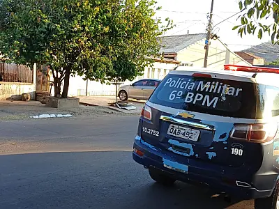 Donos de pitbull responderão por omissão de cautela e lesão corporal