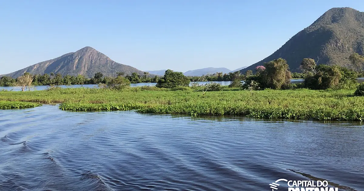 MS regulamenta fundo com R$ 40 milhões para remunerar produtores pela preservação do Pantanal