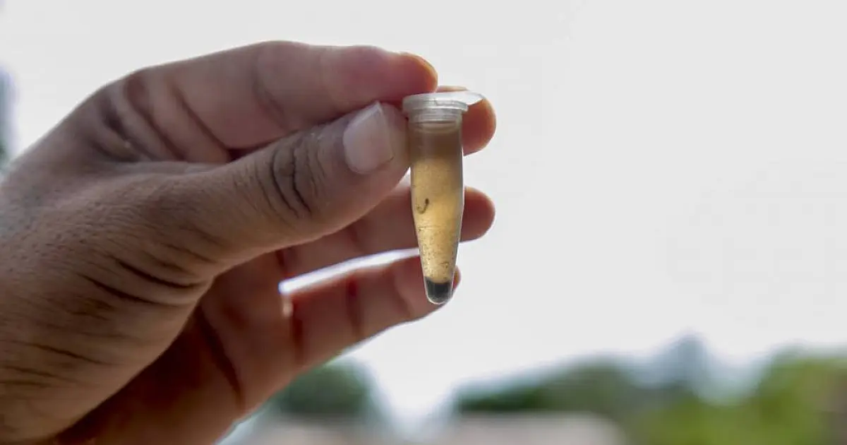 MS registra 554 casos confirmados de dengue