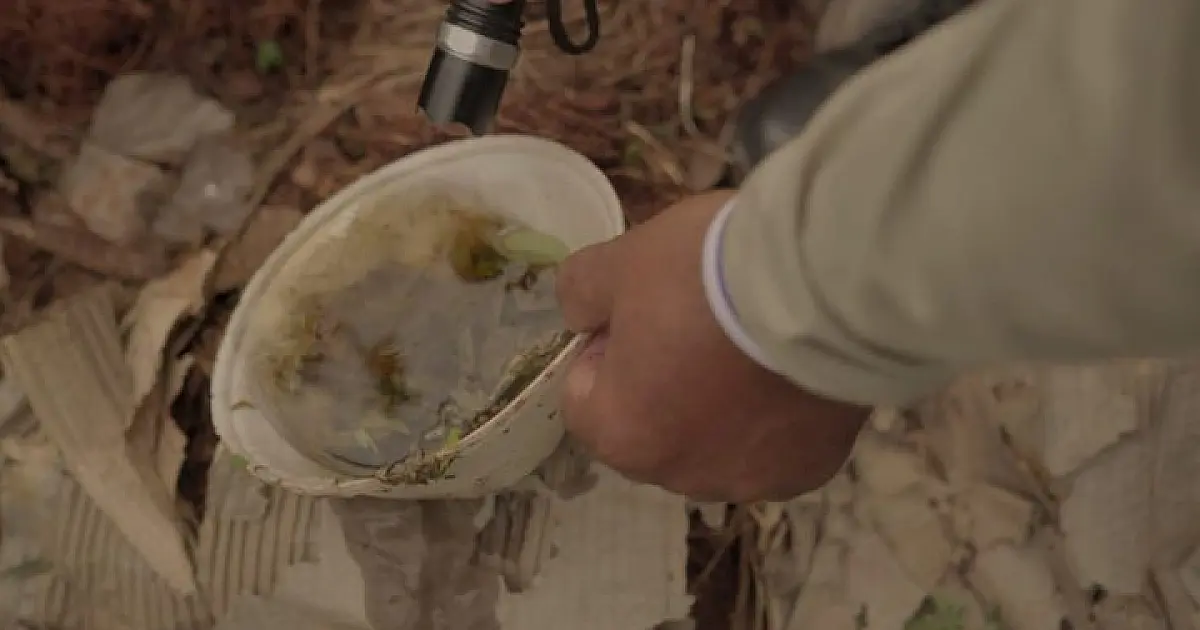 Saúde projeta 7,6 milhões de visitas domiciliares para combater às arboviroses em MS