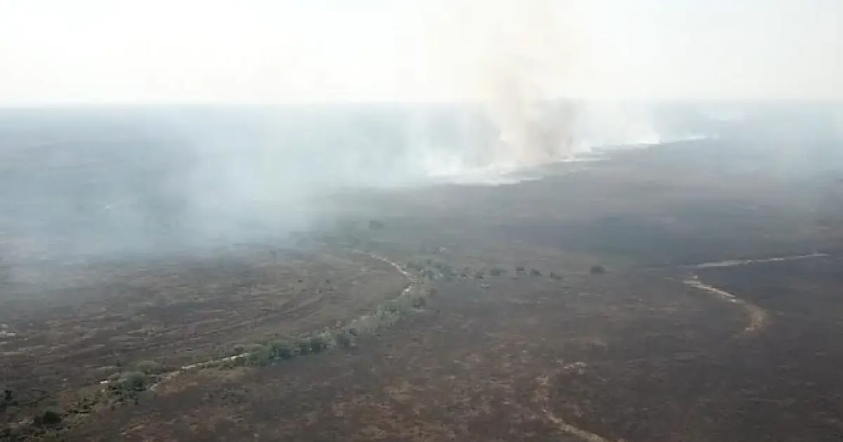 MP vai investigar incêndio que atingiu 6.458 hectares em fazenda de Corumbá