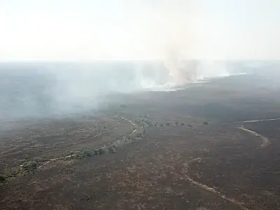 MP vai investigar incêndio que atingiu 6.458 hectares em fazenda de Corumbá