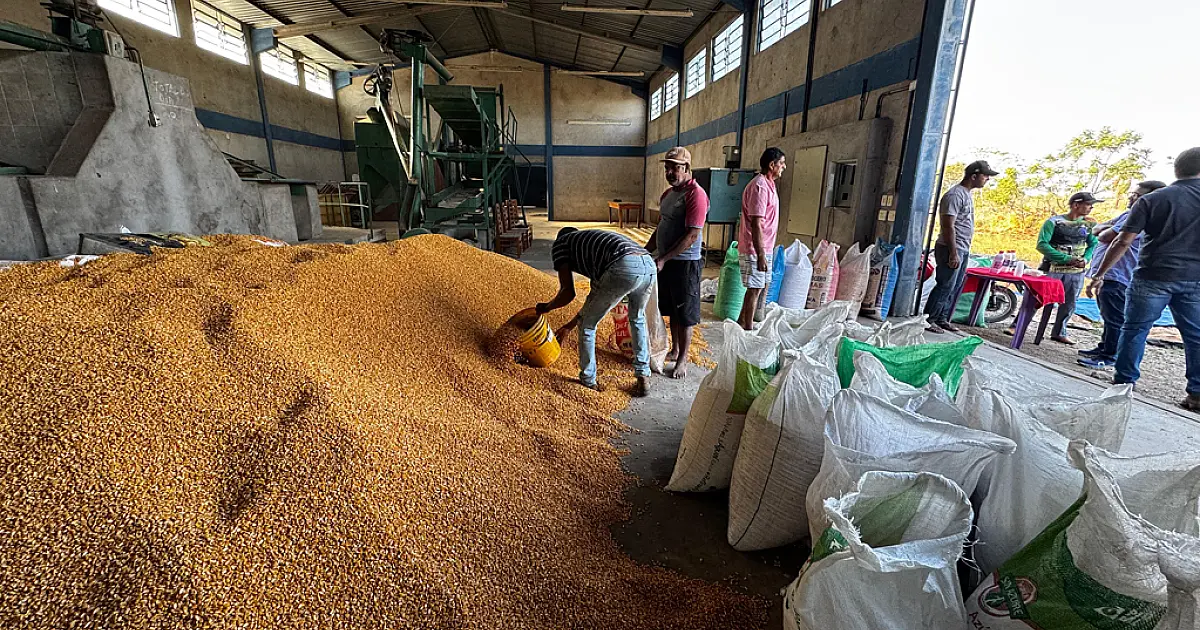 Prefeito visita assentamento e entrega sementes a agricultores familiares