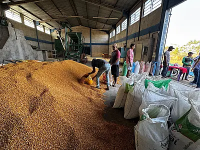 Prefeito visita assentamento e entrega sementes a agricultores familiares
