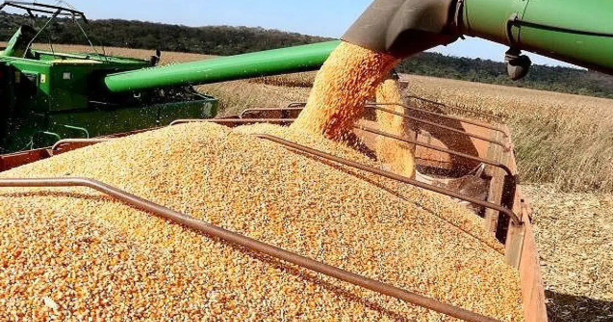 Exportações de MS crescem 61,85% e superávit da balança comercial dobra em janeiro