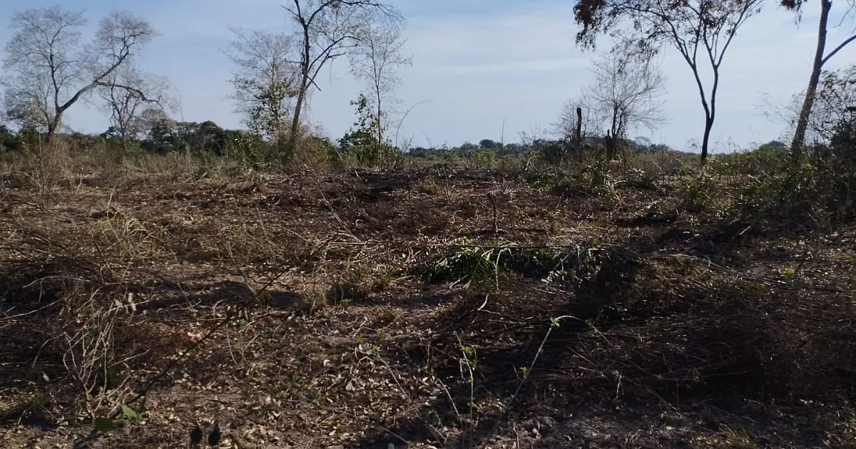 Fiscalização ambiental em Corumbá flagra queimadas ilegais no Pantanal