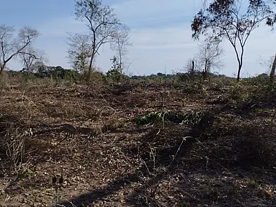Fiscalização ambiental em Corumbá flagra queimadas ilegais no Pantanal