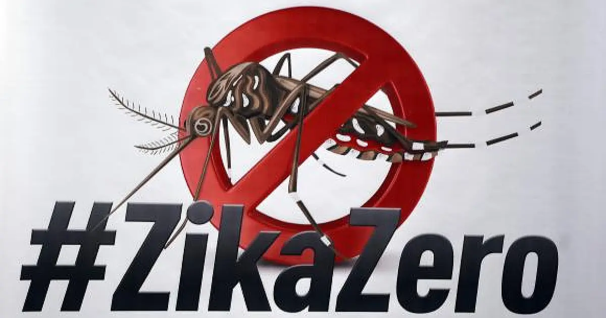 Grupo de trabalho vai mobilizar servidores sobre combate ao Aedes