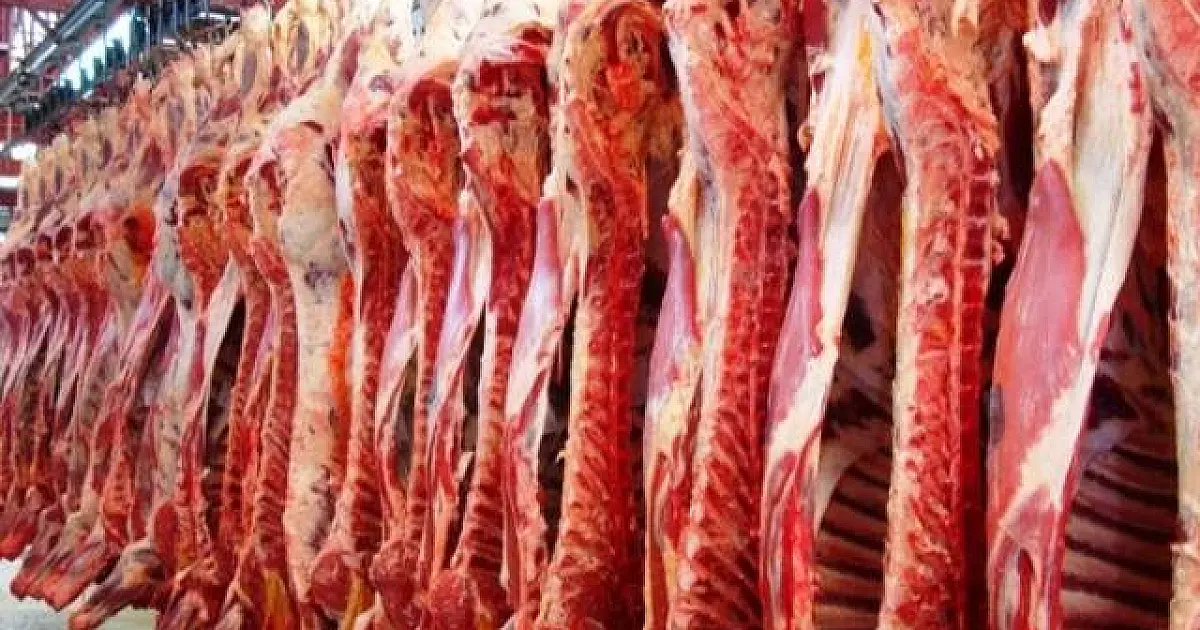 Exportação de carne para os EUA pode ser retomada em até 60 dias, diz ministro