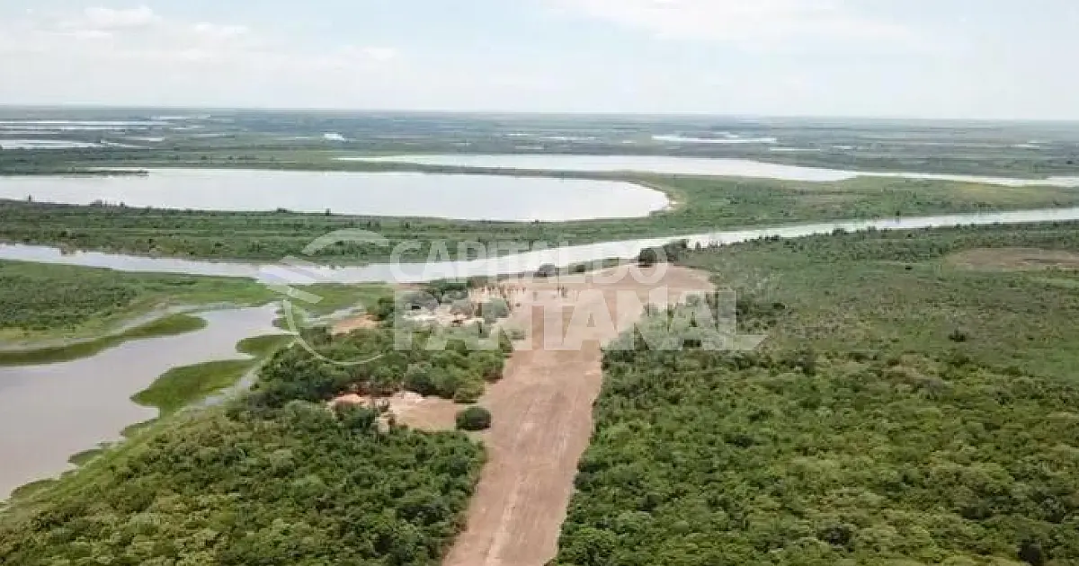 Dragagem do Rio Paraguai - uma nova ameaça ao Pantanal