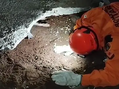 Cadela é resgatada após ficar presa por horas em buraco na calçada