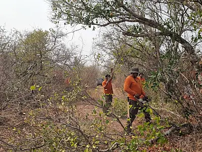 Parceria amplia ações de prevenção à incêndios no Pantanal