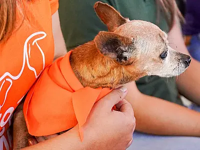 Abril Laranja pode fazer parte do Calendário Oficial de Corumbá