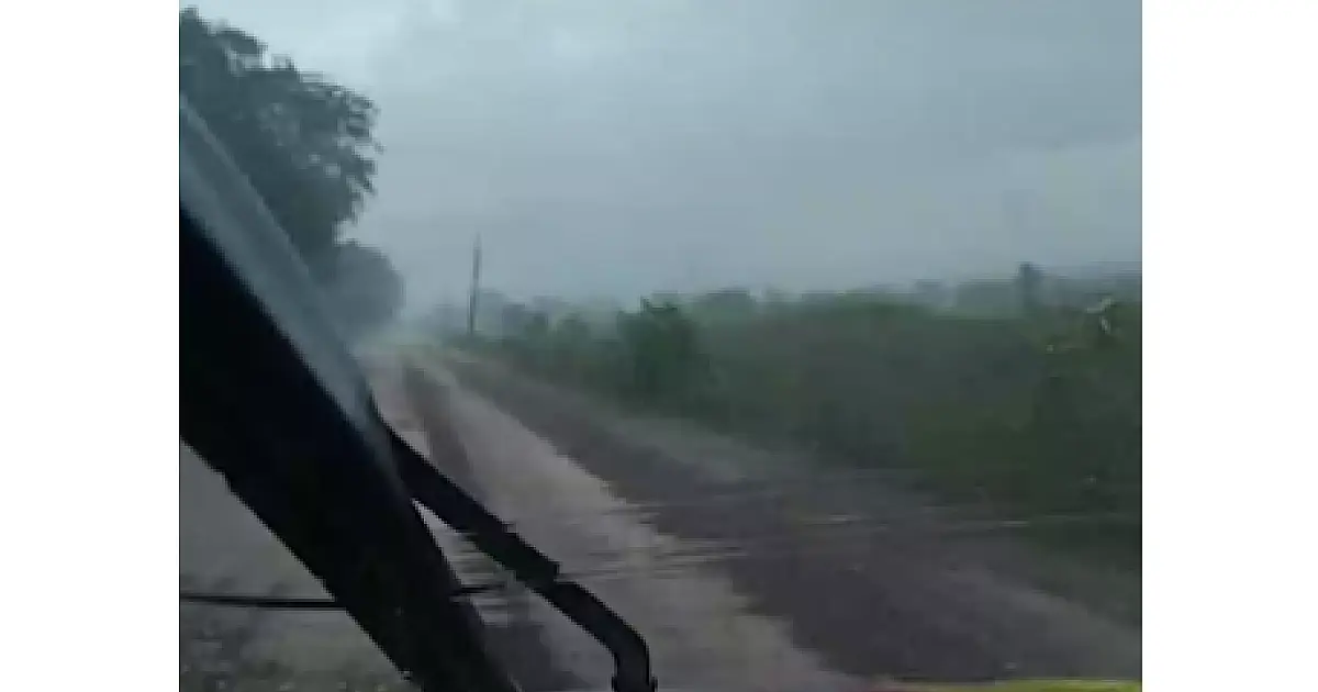 Chuva ajuda a estabilizar incêndio que queimou área da Estrada Parque