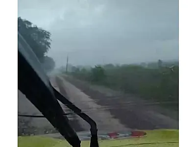 Chuva ajuda a estabilizar incêndio que queimou área da Estrada Parque