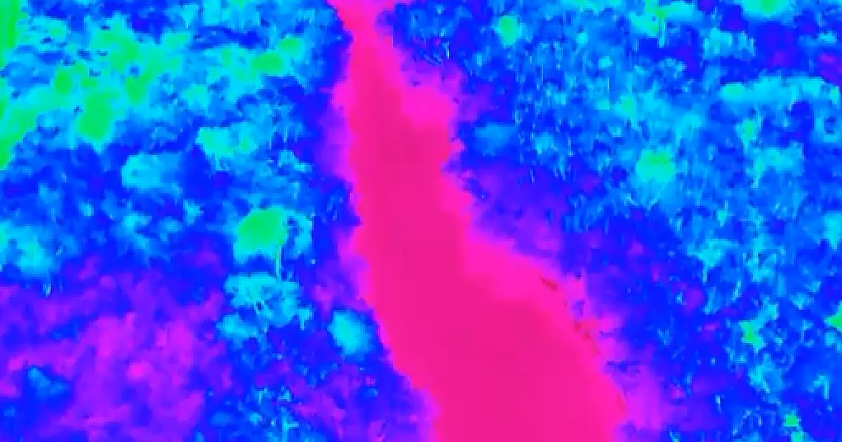 Equipamentos térmicos inovam fiscalização noturna na Bacia do Rio Paraguai