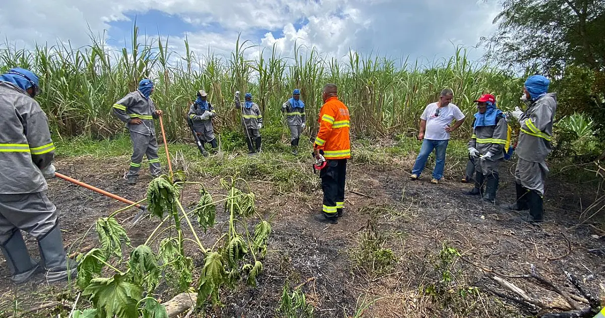 Primeira brigada comunitária de combate a incêndios é formada em Corumbá
