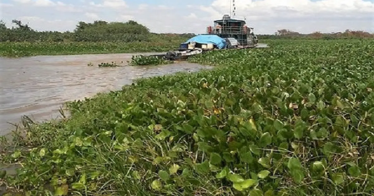Vereador sugere utilização de embarcação da AHIPAR para desobstruir o Rio Negrinho
