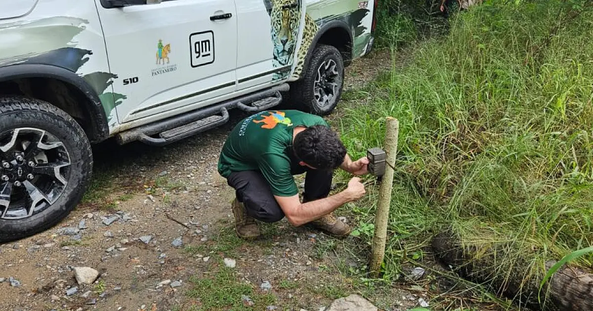 Moradores ajudam a recuperar equipamentos do IHP para monitorar onça-pintada