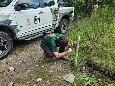 Moradores ajudam a recuperar equipamentos do IHP para monitorar onça-pintada